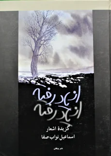 از یاد رفته گزیده اشعار نواب صفا